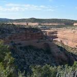 OTRA2013_2037 (July 21, 2013)